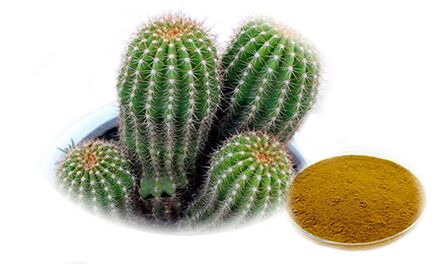 Hoodia gordoni в составе Reduslim